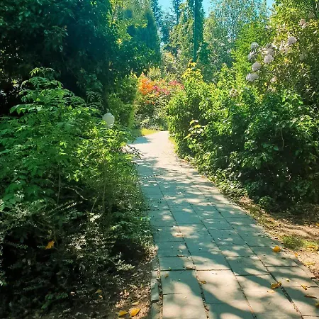 Dominikana 41b * Sianozety