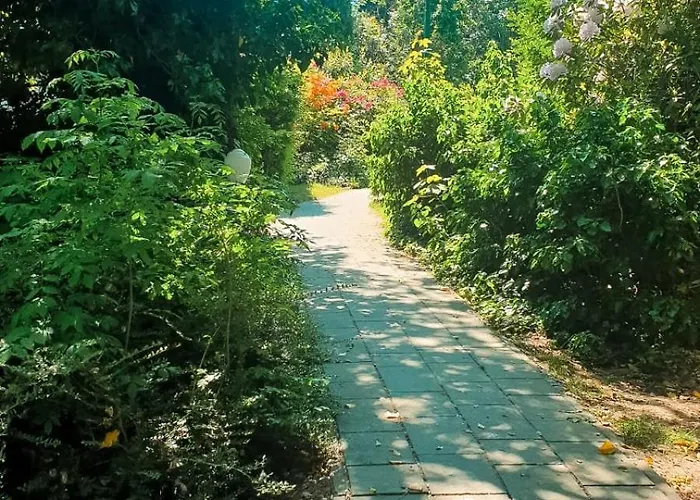 Dominikana 41b * Sianozety